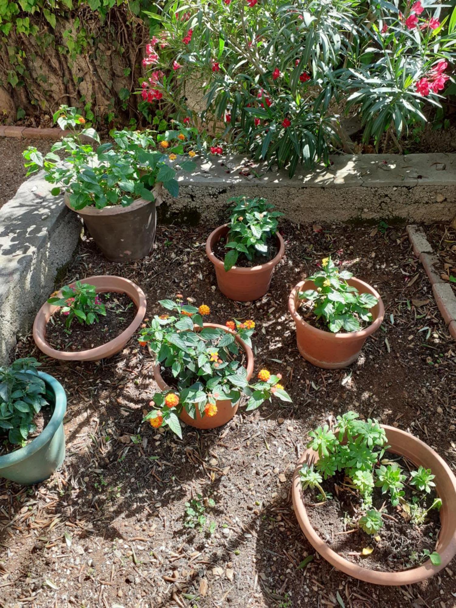 Apartman Gordana Trogir Luaran gambar